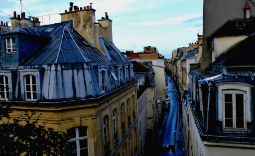 Paris Rooftops in Winter, copyright © Scott Dionne